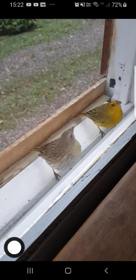 Chale Espelhado No Itaimbezinho Villa Praia Grande  Luaran gambar